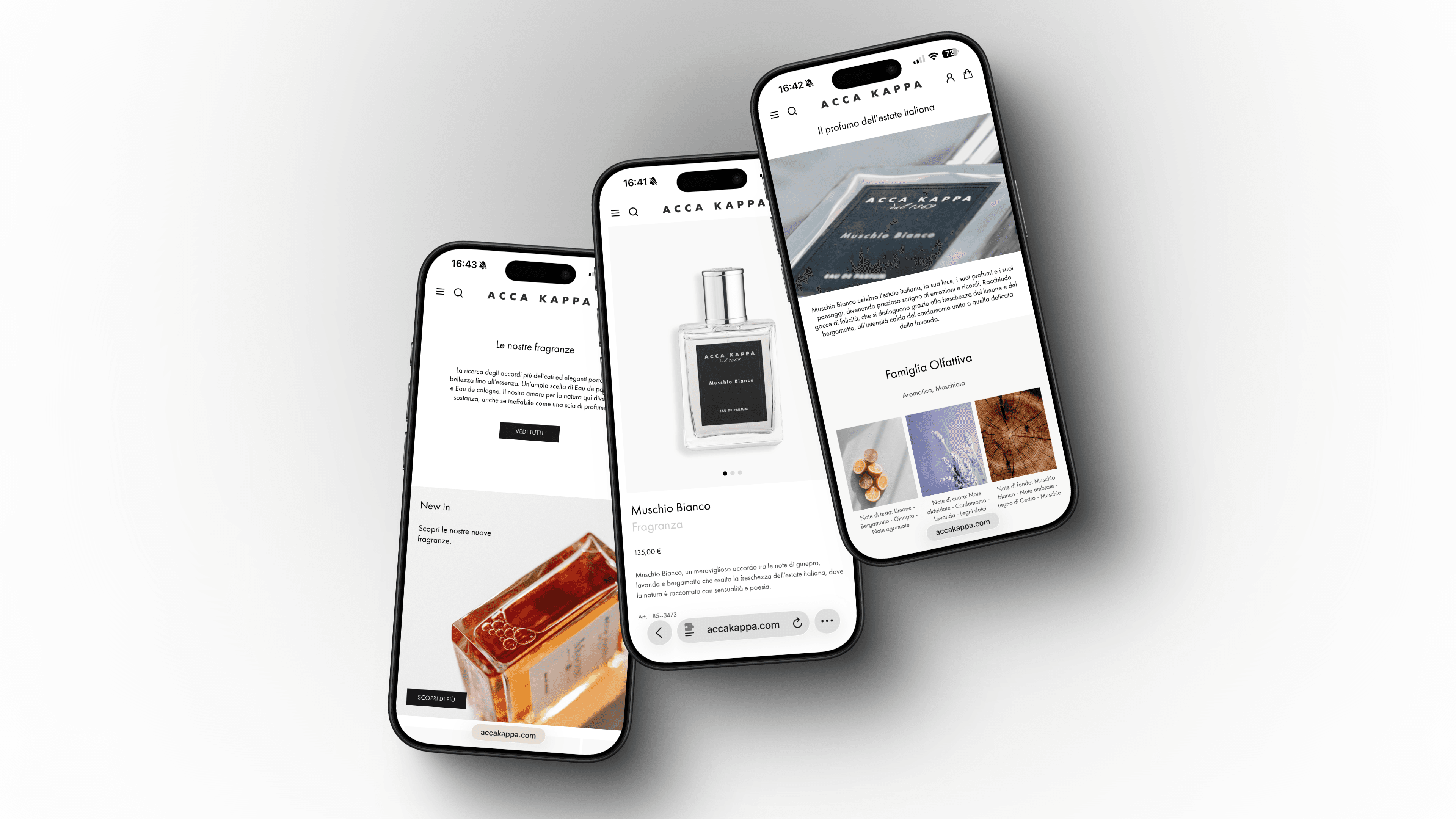 Screenshot della piattaforma Accakappa su desktop